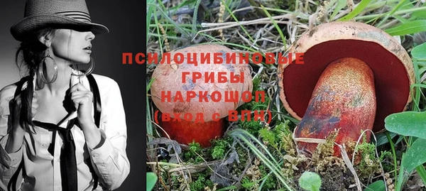 2c-b Магадан