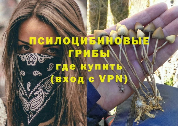 2c-b Магадан