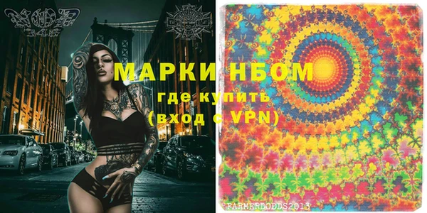 мдпв Бердск