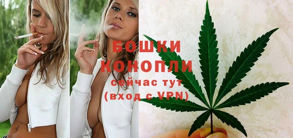 мяу мяу мука Ачинск