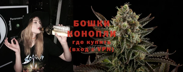 PSILOCYBIN Аркадак