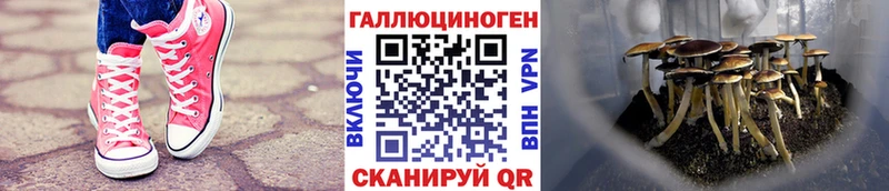 Галлюциногенные грибы прущие грибы  Яблоновский 